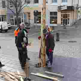 narrensprung 2024 baum