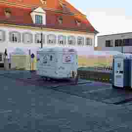 narrensprung 2024 baum