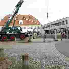 narrensprung 2024 baum