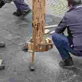 narrensprung 2024 baum