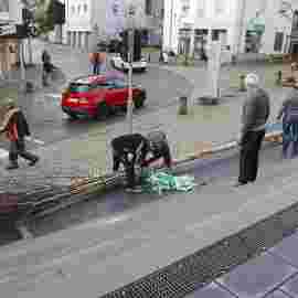 narrensprung 2024 baum