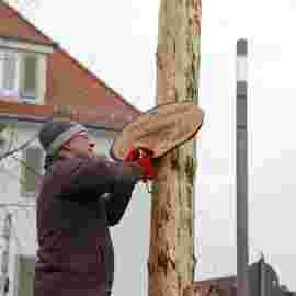 narrensprung 2024 baum
