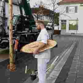 narrensprung 2024 baum