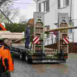 narrensprung 2024 baum