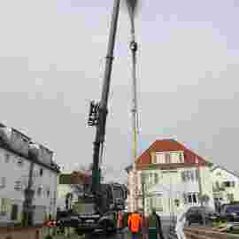 narrensprung 2024 baum