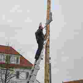 narrensprung 2024 baum