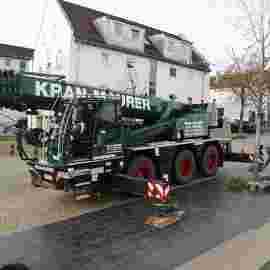 narrensprung 2024 baum