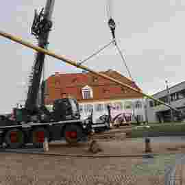 narrensprung 2024 baum
