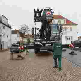 narrensprung 2024 baum