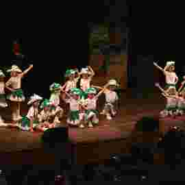 prunksitzung 2015