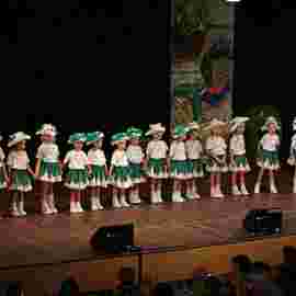 prunksitzung 2015