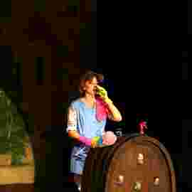 prunksitzung 2016