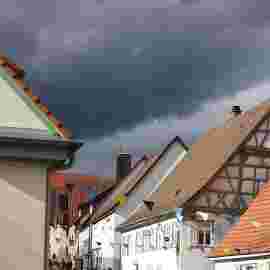 vor dem umzug