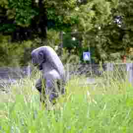 skulpturen weg 2024