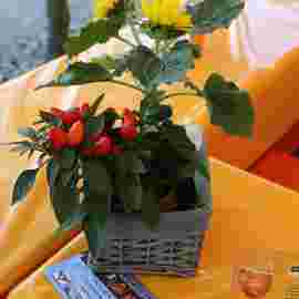 sommernachtsfest 2014