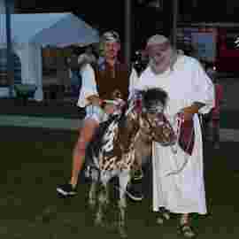 sommernachtsfest 2014