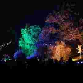sommernachtsfest 2014