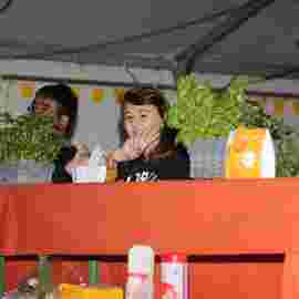 sommernachtsfest 2014