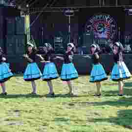 sommernachtsfest 2014