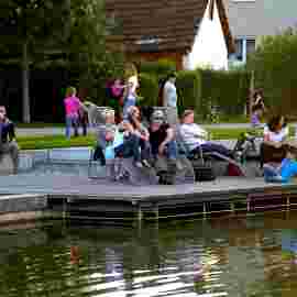 sommernachtsfest 2014
