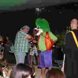 sommernachtsfest 2014