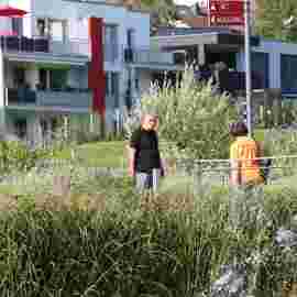 sommernachtsfest 2014