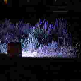 sommernachtsfest