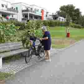 sommernachtsfest auf/abbau