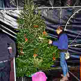 weihnachtsmarkt rh 2018