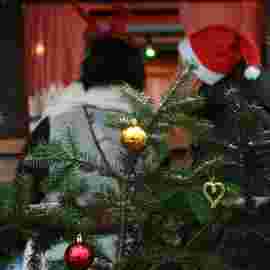 weihnachtsmarkt rh 2023 aufbau
