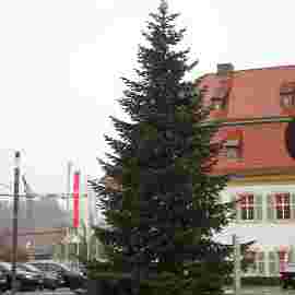 weihnachtsmarkt rh 2023 aufbau