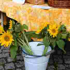 wochenmarkt rechberghausen