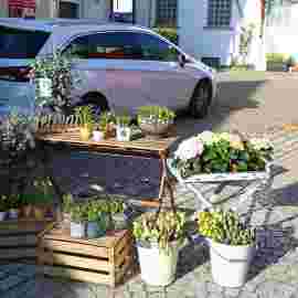 wochenmarkt rechberghausen