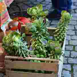 wochenmarkt rechberghausen