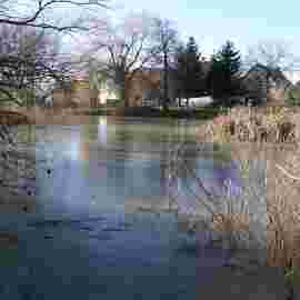 vorher