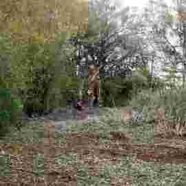vorher