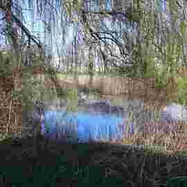 vorher