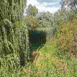 vorher