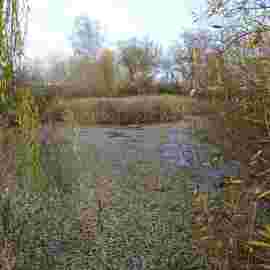 vorher