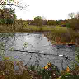 vorher