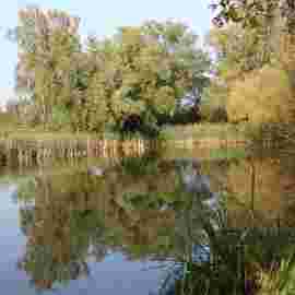 vorher