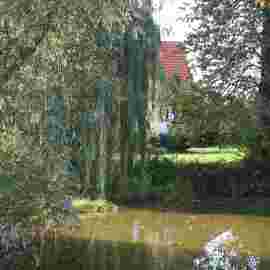 vorher
