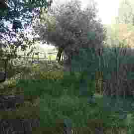 vorher