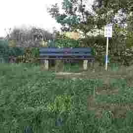 vorher