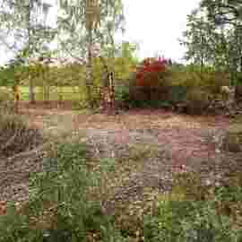 vorher