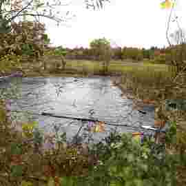 vorher