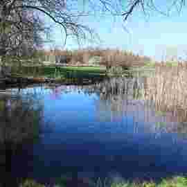 vorher