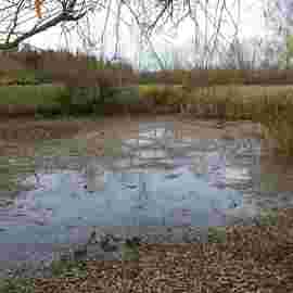 vorher