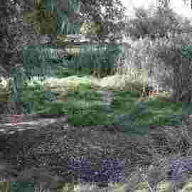 vorher