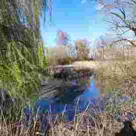 vorher